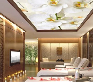 سقف باریسول چیست؟