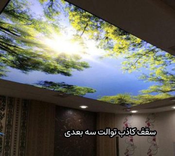 سقف کاذب توالت سه بعدی