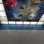 50723bf1 1156 4951 a945 b191c780ed51