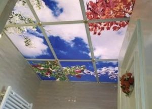 AB3C88CC 9902 4B40 9C6F 836404C2B05A 1 1