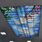 The price of false ceilings