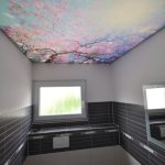 آسمان مجازی کشسان