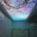 آسمان مجازی کشسان