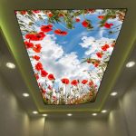 انواع باریسول سقف