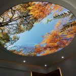 خرید سقف کشسان