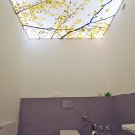 طرح سقف کشسان سرویس بهداشتی