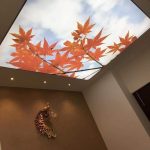 سقف کشسانی آشپزخانه