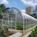 پلی کربنات گلخانه