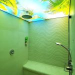 طرح سقف کشسان سرویس بهداشتی