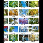 e526ee4f 27f7 4fcc a609 a8155eb87dc0