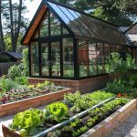 قیمت طلق گلخانه