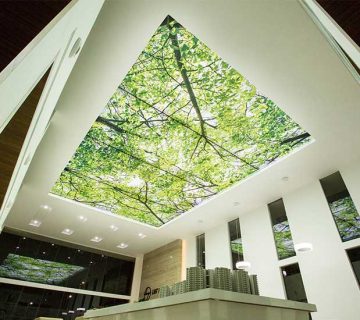 پارچه سقف کشسان