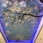 سقف آشپزخانه زیبا